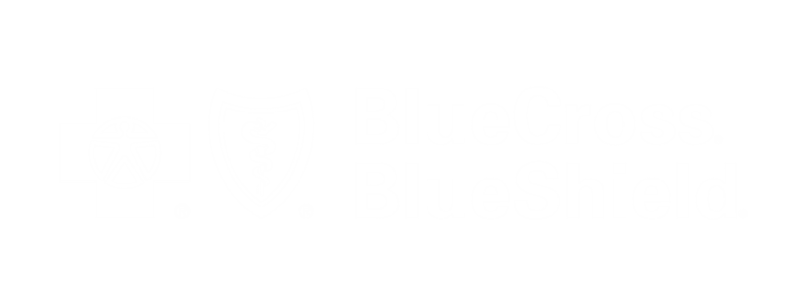 Blue Cross Blue Shield logo